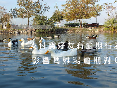 支付寶好友有逾期行為對(duì)自己有影響嗎（雞湯逾期對(duì)支付寶有影響嗎）