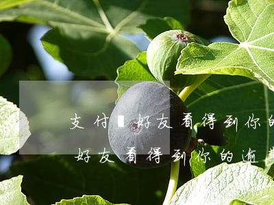 支付寶好友看得到你的逾期記錄嗎-支付寶好友看得到你的逾期記錄嗎是真的嗎