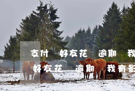 支付寶好友花唄逾期對我有影響嗎-支付寶好友花唄逾期對我有影響嗎知乎