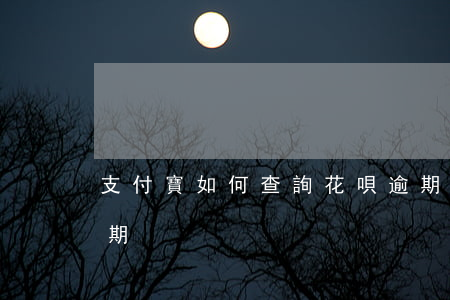 支付寶如何查詢花唄逾期(怎么看花唄是否逾期)