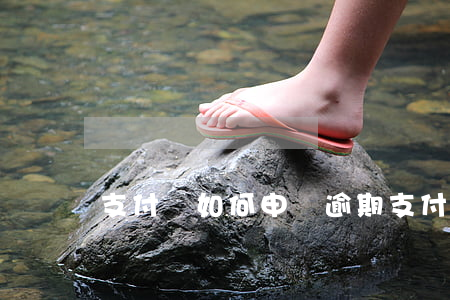 支付寶如何申請逾期(支付寶逾期可申訴條件)