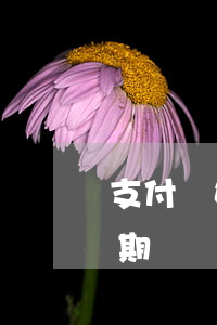 支付寶如何解除逾期貸款(怎么消支付寶的逾期)