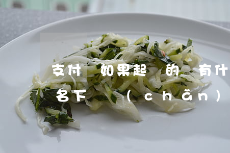 支付寶如果起訴的話有什么后果（支付寶起訴名下財產(chǎn)）