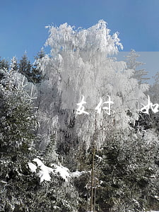 支付寶如果逾期（支付寶逾期的解決辦法）