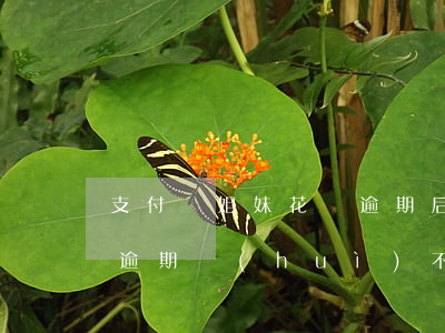 支付寶姐妹花唄逾期后果-支付寶逾期花唄逾期會(huì)不會(huì)聯(lián)系家人
