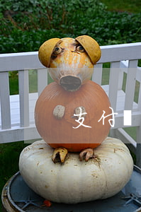 支付寶孕婦逾期(支付寶孕婦逾期)