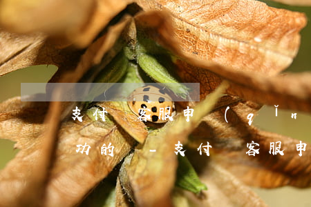 支付寶客服申請(qǐng)停止催收有成功的嗎-支付寶客服申請(qǐng)停止催收有成功的嗎安全嗎