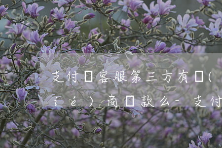 支付寶客服第三方有權(quán)協(xié)商還款么-支付寶客服第三方有權(quán)協(xié)商還款么嗎
