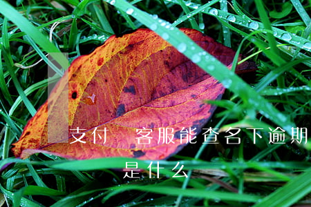 支付寶客服能查名下逾期嗎(支付寶逾期客服電話是什么)