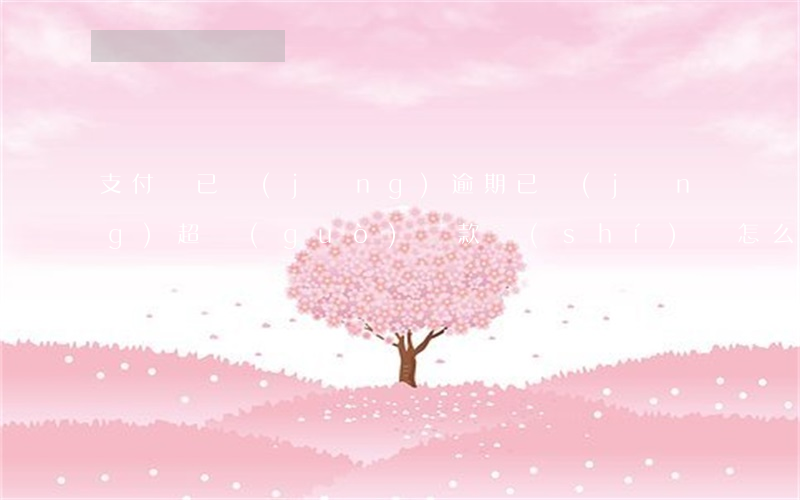 支付寶已經(jīng)逾期已經(jīng)超過(guò)還款時(shí)間怎么辦（支付寶逾期還款最新政策）