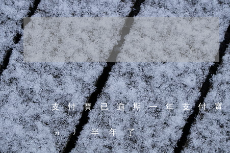 支付寶已逾期一年(支付寶逾期十幾萬(wàn)半年了)