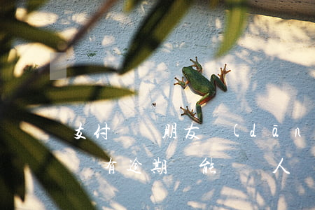 支付寶幫朋友擔(dān)保逾期了沒有影響(有逾期還能幫別人擔(dān)保嗎)