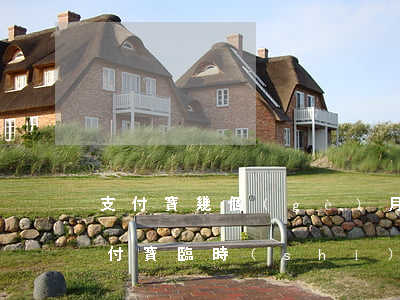 支付寶幾個(gè)月逾期就拉黑名單了(支付寶臨時(shí)額度逾期一個(gè)月會(huì)不會(huì)上黑名單)