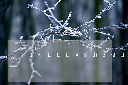 支付寶幾個月逾期(支付寶逾期不到一個月)