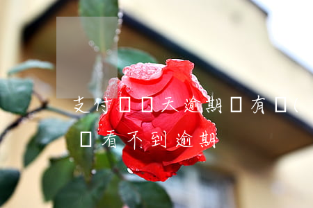 支付寶幾天逾期沒有關(guān)系（支付寶看不到逾期）