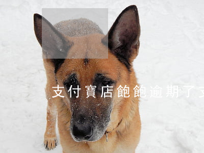 支付寶店飽飽逾期了(支付寶店飽飽逾期了)