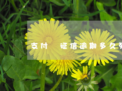 支付寶征信逾期多久列入黑名單-