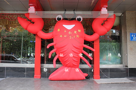 支付寶征信逾期會消失嗎(支付寶花唄逾期了會影響征信嗎)