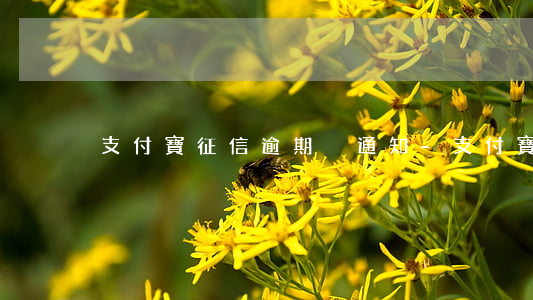 支付寶征信逾期沒通知-支付寶逾期上征信