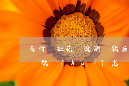 支付寶征花唄逾期還款后果(支付寶花唄逾期還款會(huì)怎樣)