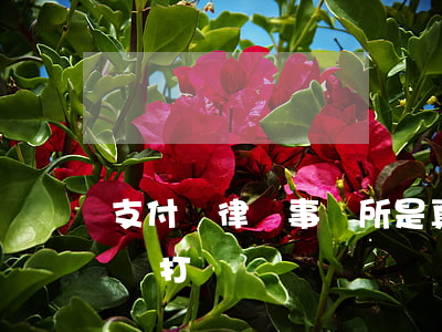 支付寶律師事務所是真的嗎(支付寶會委托律師打電話嗎)