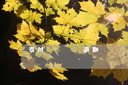 支付寶從來沒逾期過