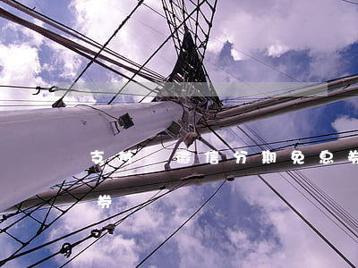 支付寶微信分期免息券 支付寶微信分期免息券