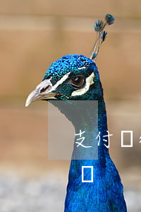 支付寶,微信法院可以強制嗎（微信支付寶能起訴）