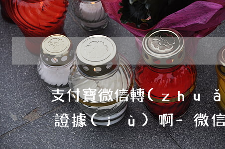 支付寶微信轉(zhuǎn)賬能作為起訴證據(jù)啊-微信支付寶轉(zhuǎn)賬可以作為證據(jù)起訴嗎
