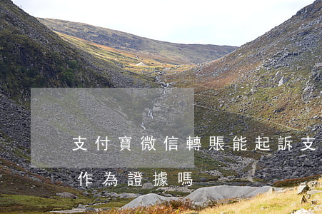 支付寶微信轉賬能起訴(支付寶和微信轉賬能作為證據嗎)