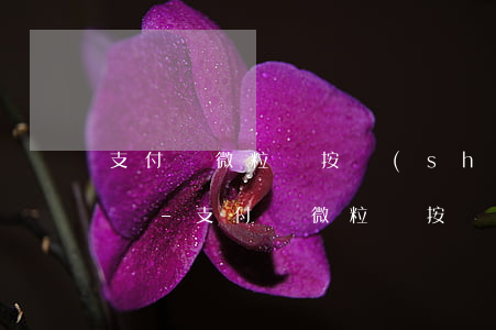 支付寶微粒貸按時(shí)還款影響征信嗎-支付寶微粒貸按時(shí)還款影響征信嗎