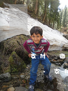支付寶微粒貸還款對(duì)征信有影響嗎-支付寶微粒貸還款對(duì)征信有影響嗎安全嗎