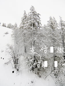 支付寶微貸產(chǎn)品逾期是啥-支付寶顯示微貸產(chǎn)品逾期是什么意思