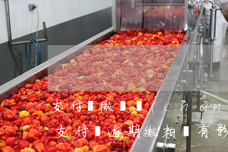 支付寶微貸產(chǎn)品逾期是指哪些(支付寶逾期微粒貸有影響嗎)