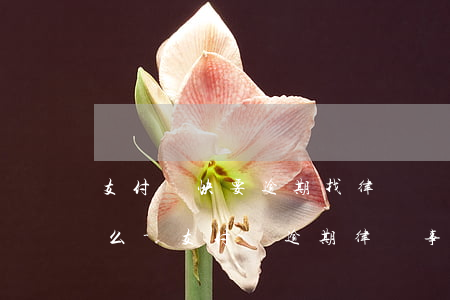 支付寶快要逾期找律師協(xié)商管用么-支付寶逾期律師事務(wù)所說要起訴