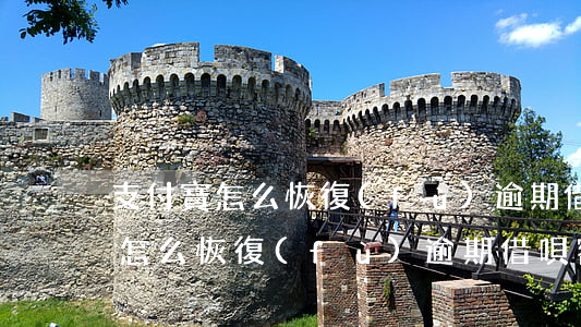 支付寶怎么恢復(fù)逾期借唄-支付寶怎么恢復(fù)逾期借唄額度