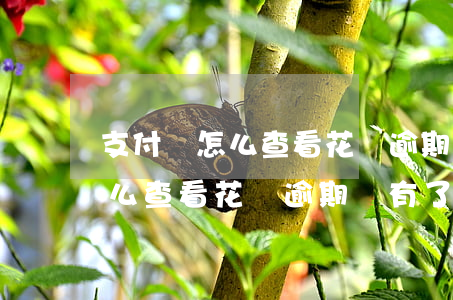 支付寶怎么查看花唄逾期沒有了-支付寶怎么查看花唄逾期沒有了呢
