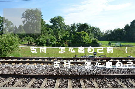 支付寶怎么查自己有沒(méi)有逾期記錄-支付寶怎么查自己有沒(méi)有逾期記錄呢
