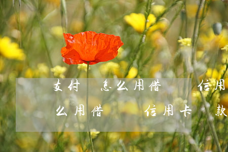 支付寶怎么用借唄給信用卡還款-支付寶怎么用借唄給信用卡還款呢
