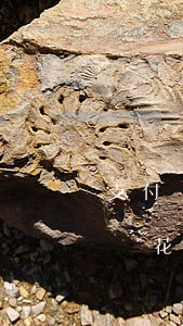 支付寶怎么申請(qǐng)花唄逾期(支付寶花唄逾期后無(wú)法使用花唄購(gòu)物怎么辦)