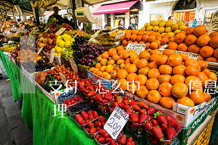 支付寶怎么申請掛賬停息(支付寶停息掛賬處理)