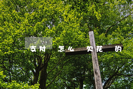 支付寶怎么還欠花唄的錢