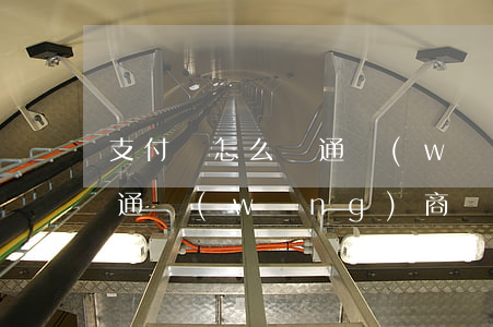 支付寶怎么開通網(wǎng)商貸（怎么開通網(wǎng)商貸）