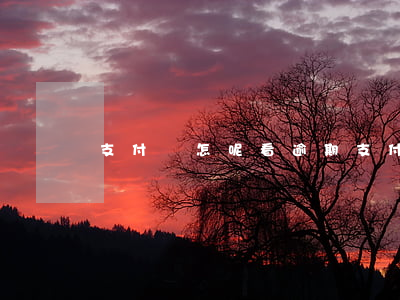 支付寶怎呢看逾期(支付寶怎么查看是否逾期)