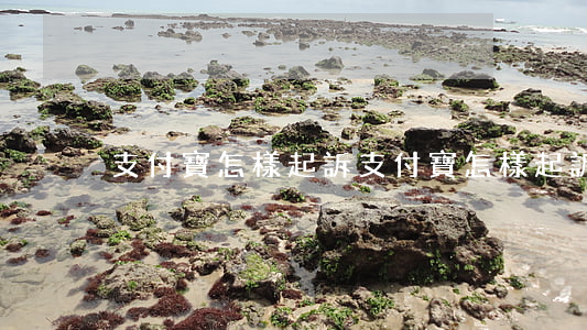 支付寶怎樣起訴(支付寶怎樣起訴借款人)
