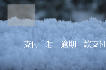 支付寶怎樣逾期還款 支付寶逾期還款會咋樣