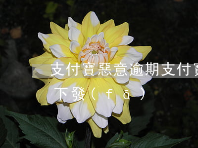 支付寶惡意逾期 支付寶惡意逾期花唄說文件下發(fā)