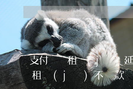 支付寶愛租機(jī)延期還款-支付寶愛租機(jī)不還款