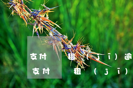 支付寶愛租機(jī)逾期十五天怎么辦-支付寶愛租機(jī)逾期十五天怎么辦啊