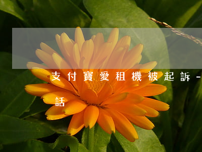 支付寶愛租機被起訴-支付寶愛租機客服電話